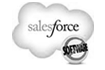 Sales Force