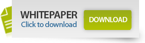 Click here to download White Papers- ISHIR