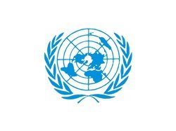 United Nations Logo