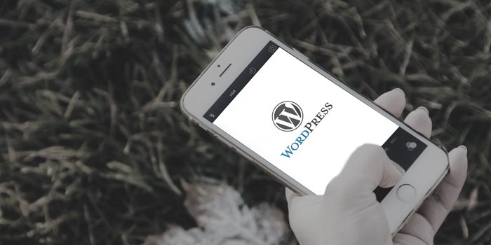 Hire WordPress Development Experts India